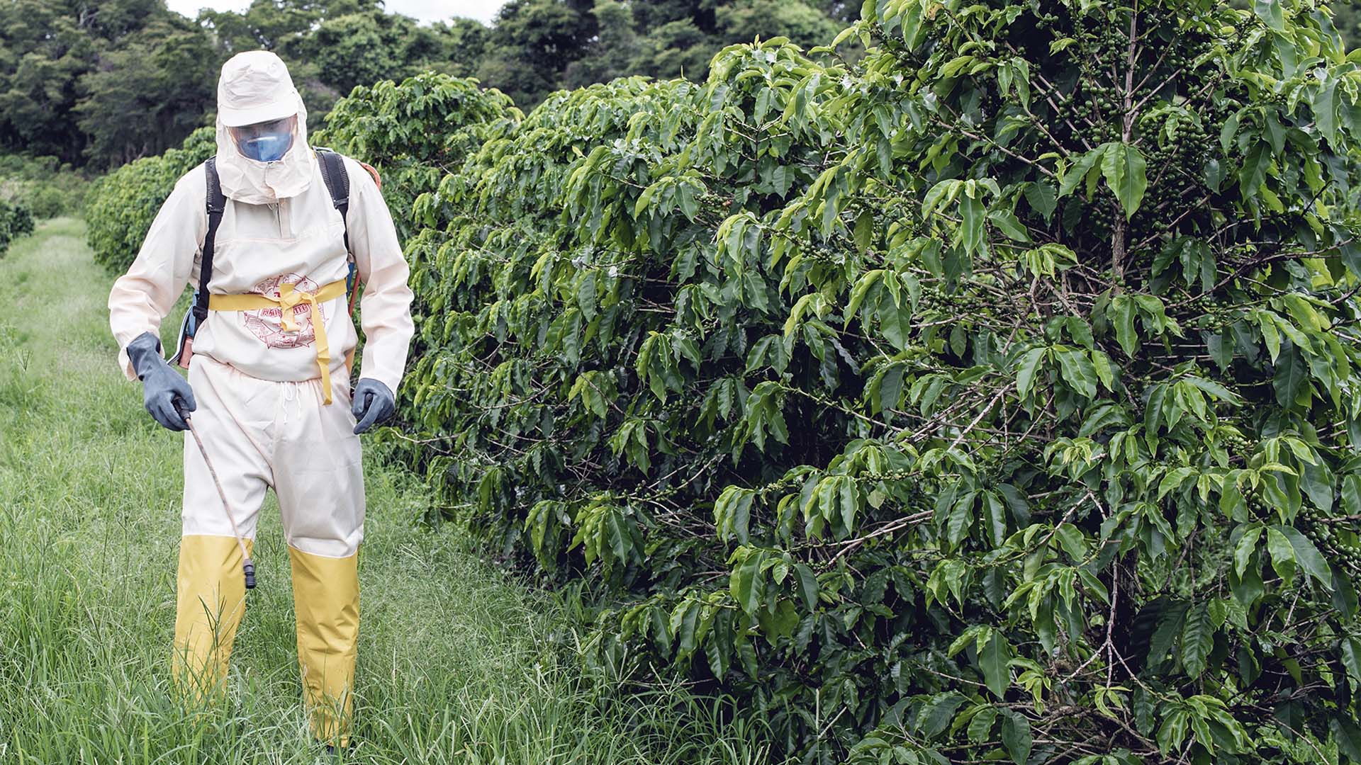 Adequate PPE