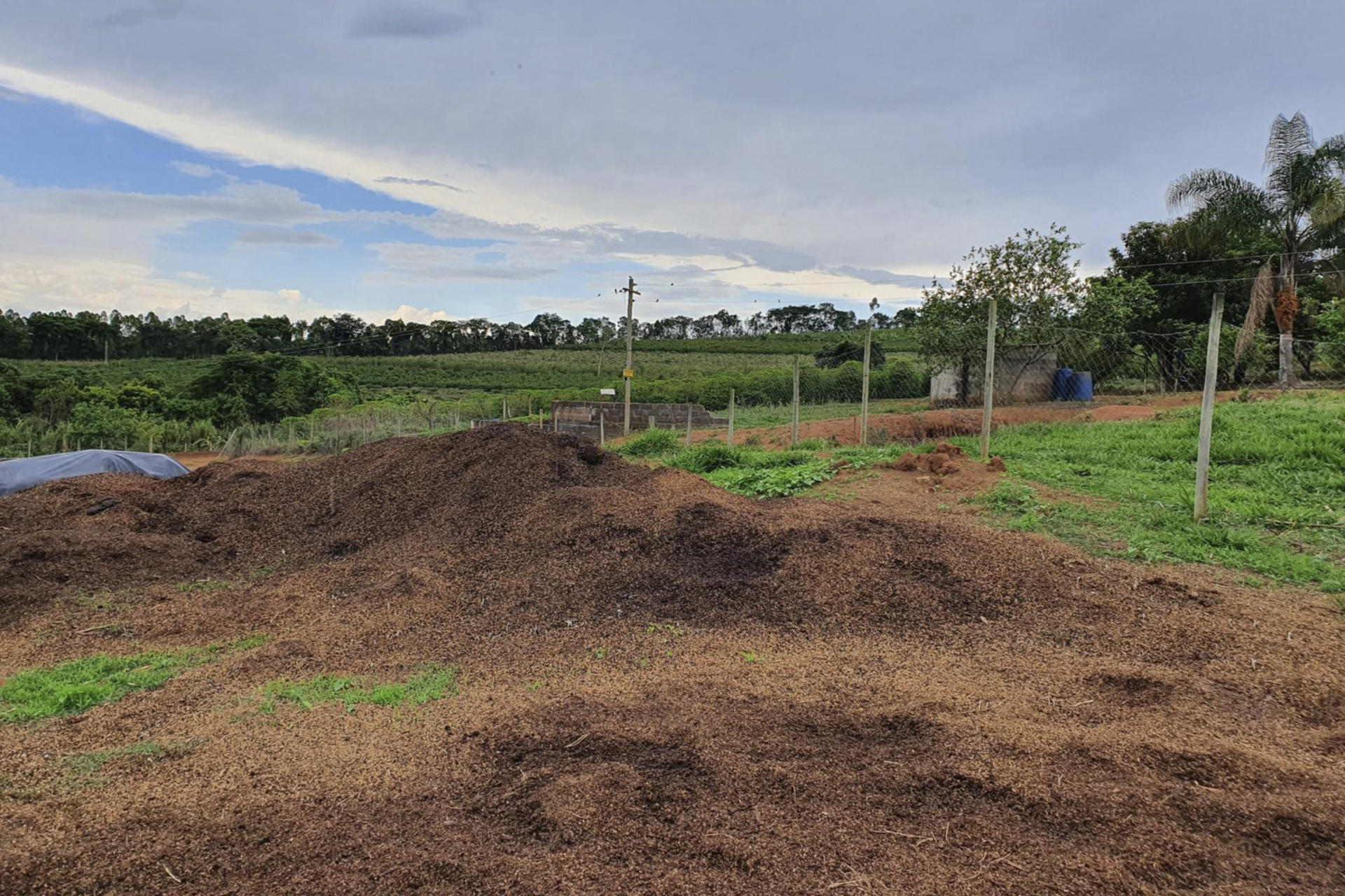 Brazil Organic Pulp