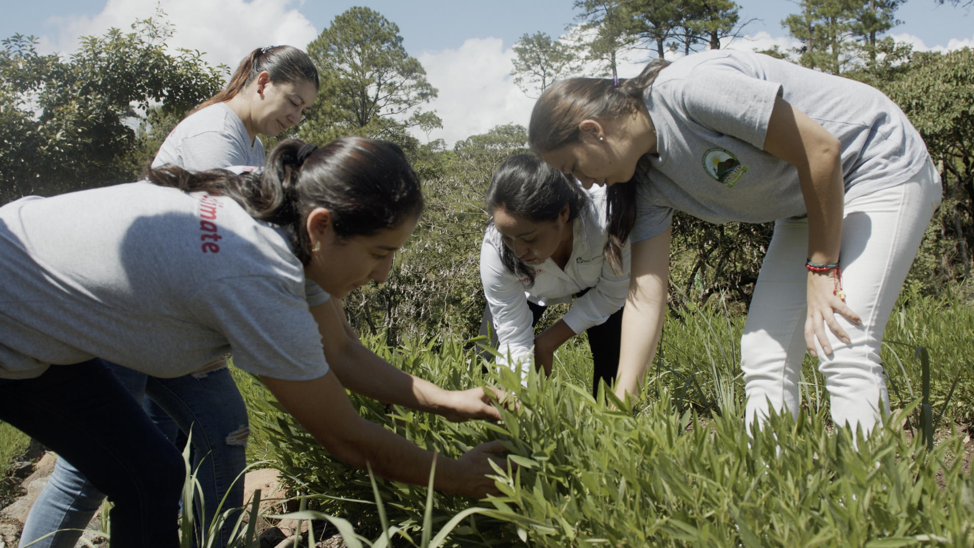 women's group coffee&climate women in coffee production