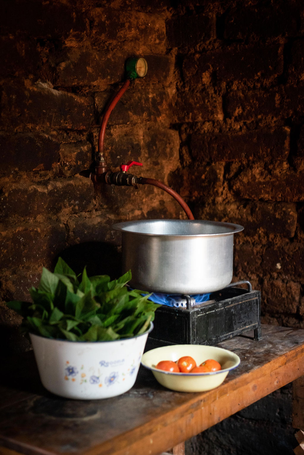 Biogas clean cookstove
