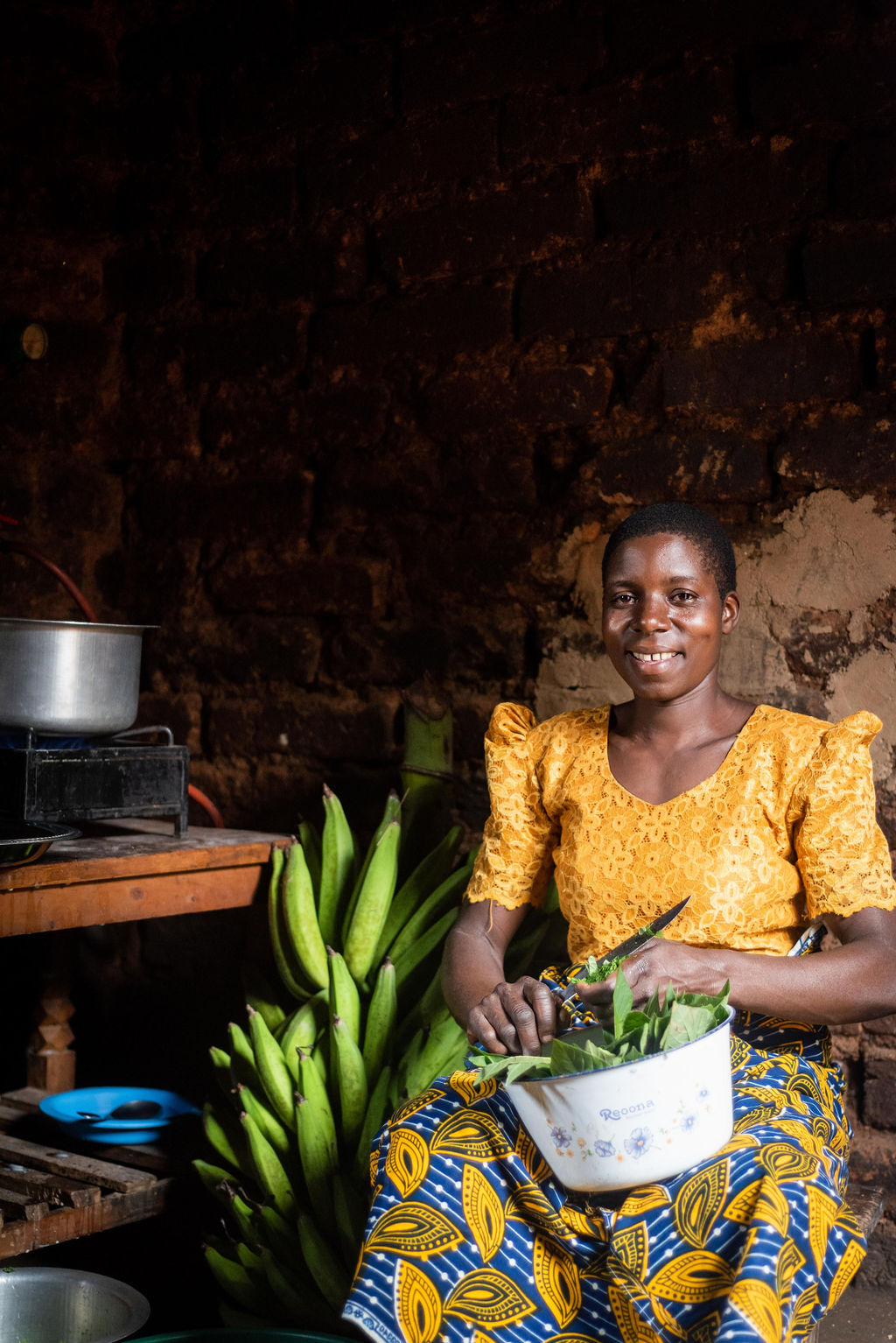 Biogas cook stove