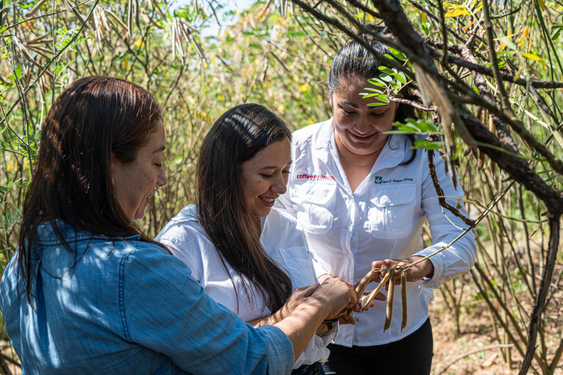 women in c&c Dulce and other women in the coffee field