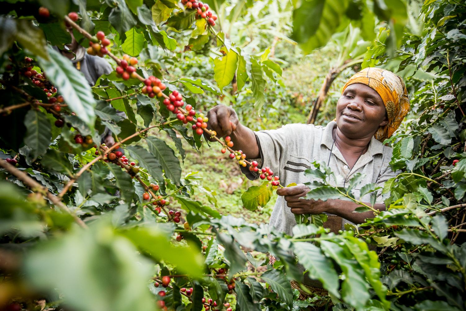 RS11212_HRNS_Uganda_1027