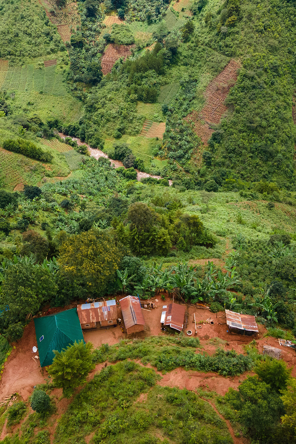 Stream coffee nursery of improved coffee varieties