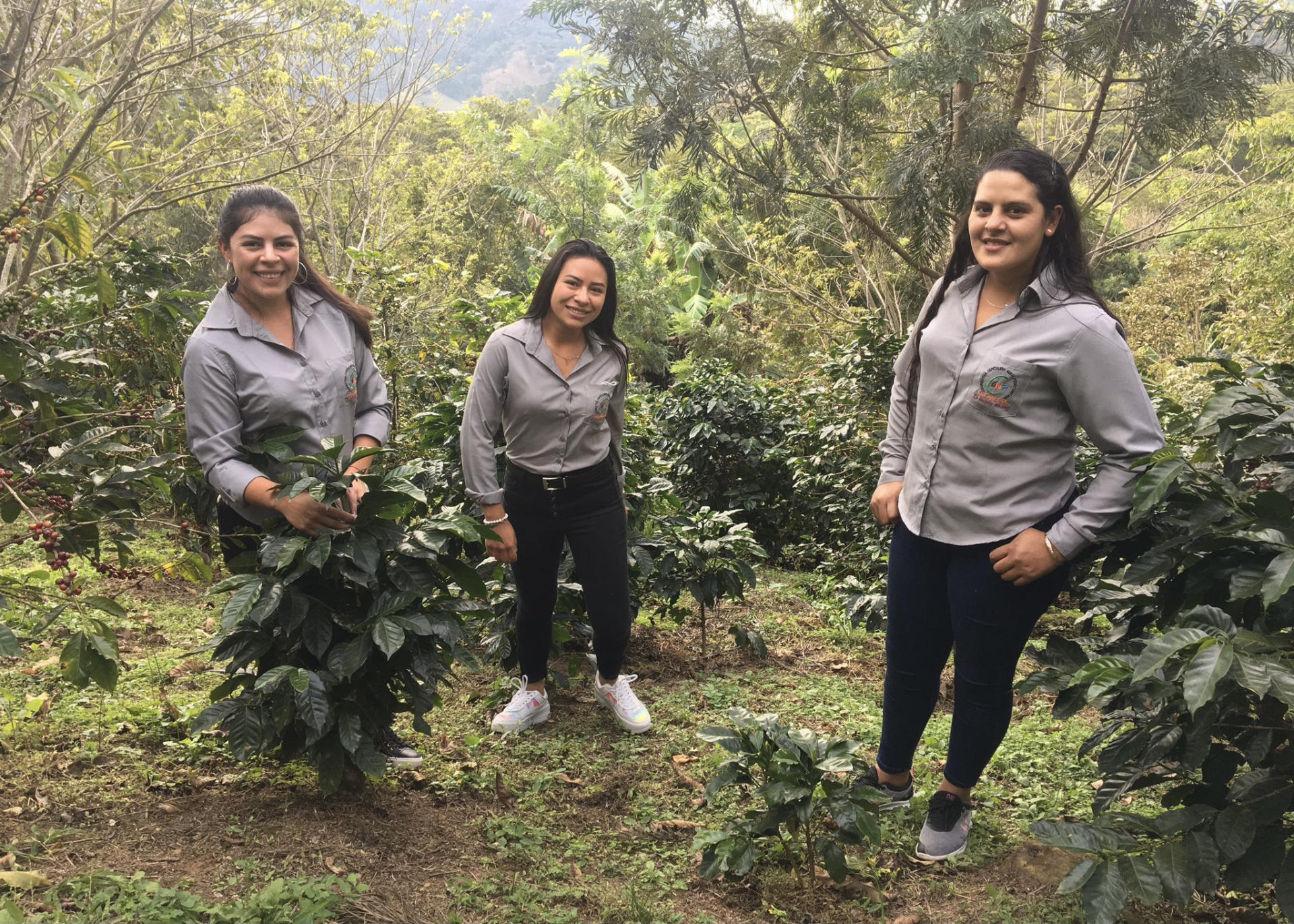 coffee&climate Women in coffee production