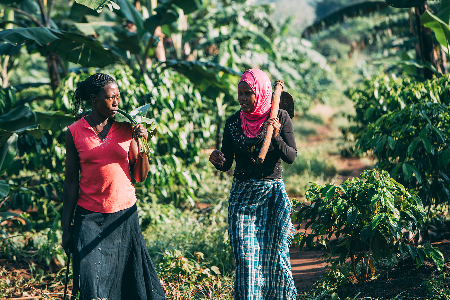 women working in the field